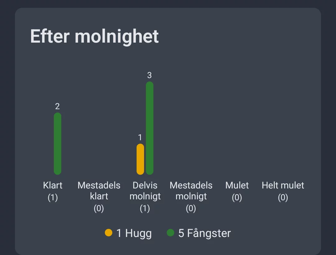 Skärmdump: Väderanalys efter molnighet