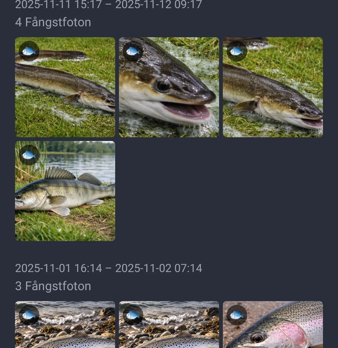 Skärmdump: Bildgalleri grupperat efter fiskesessioner