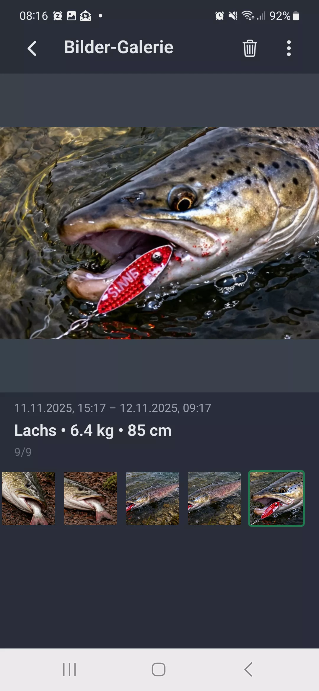 Screenshot: Bildergalerie Großansicht mit Fangdetails