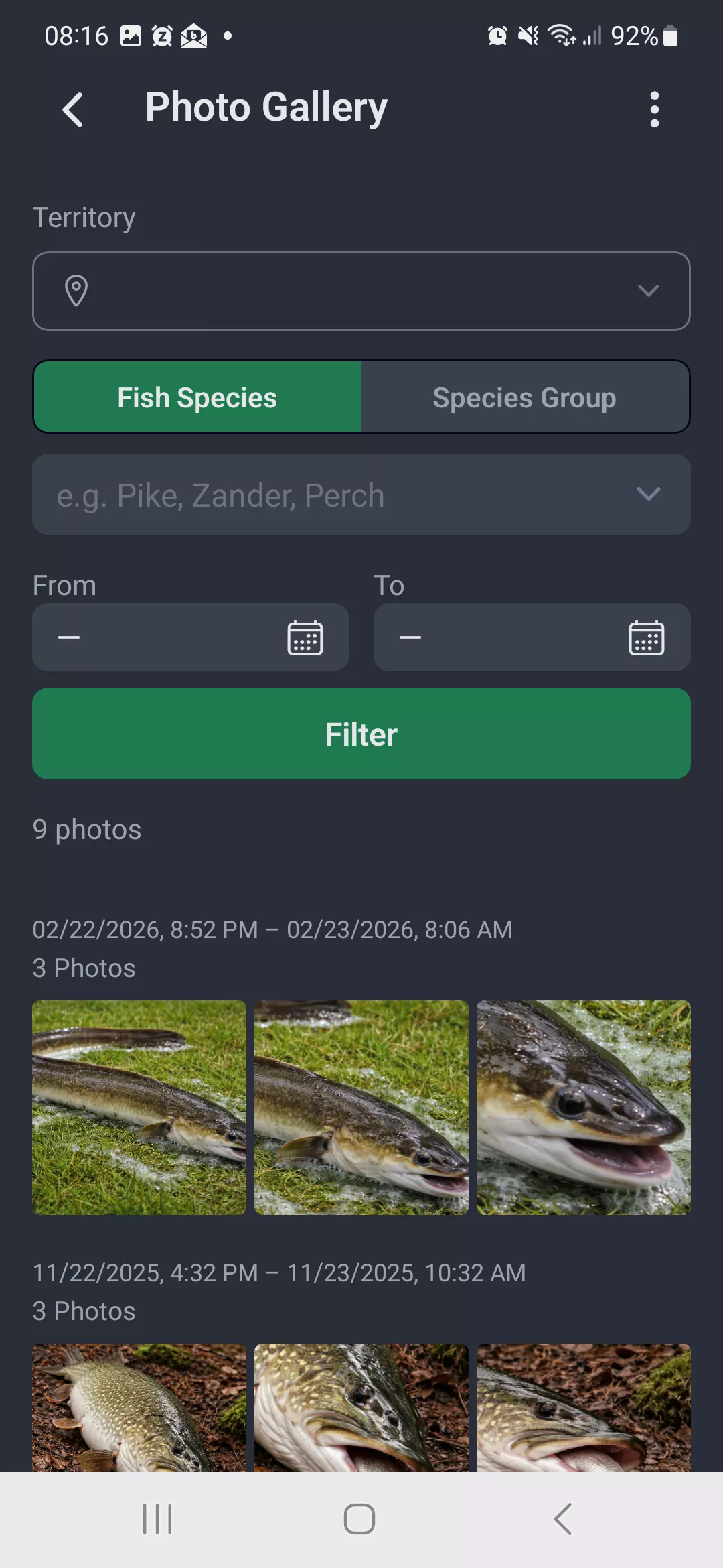Screenshot: Photo gallery with filter options