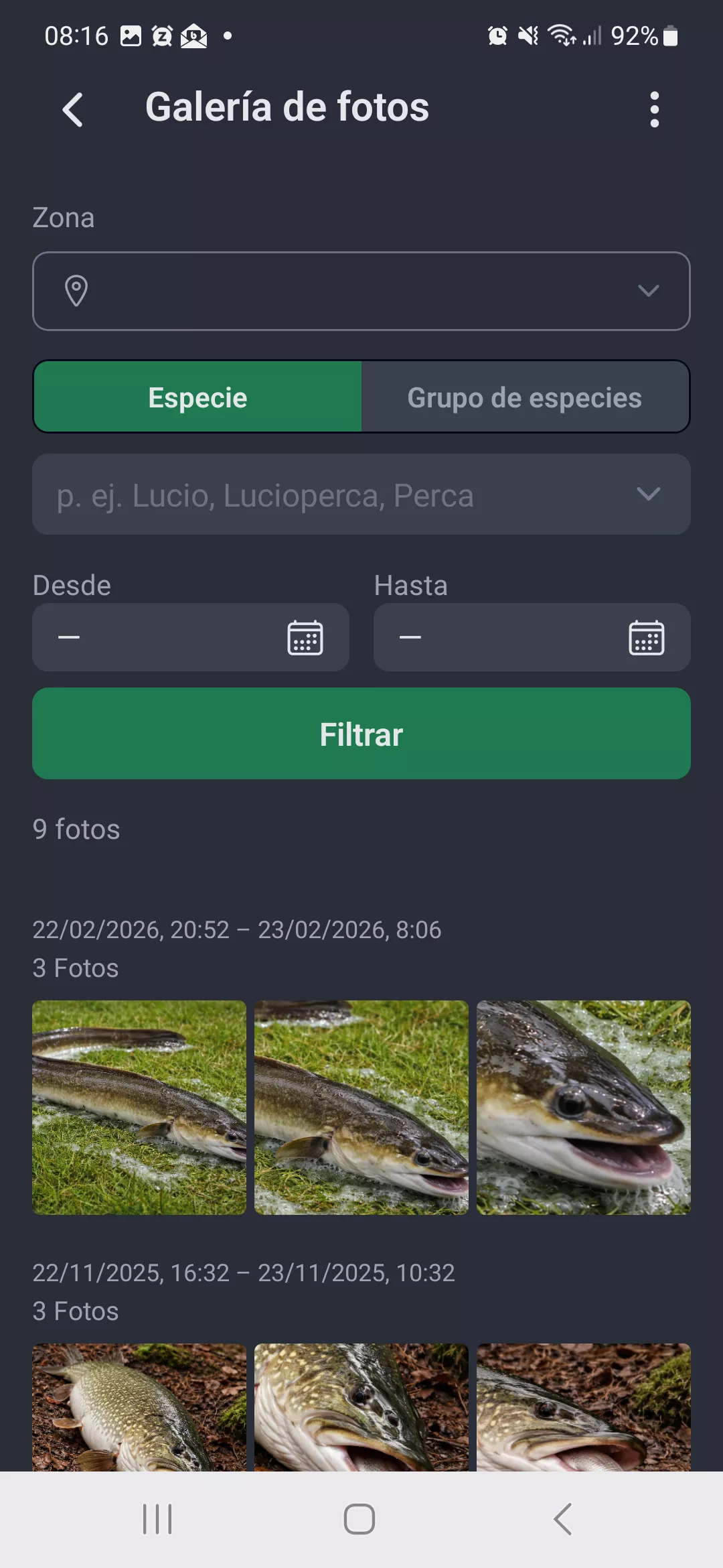 Captura de pantalla: Galería de fotos con opciones de filtro