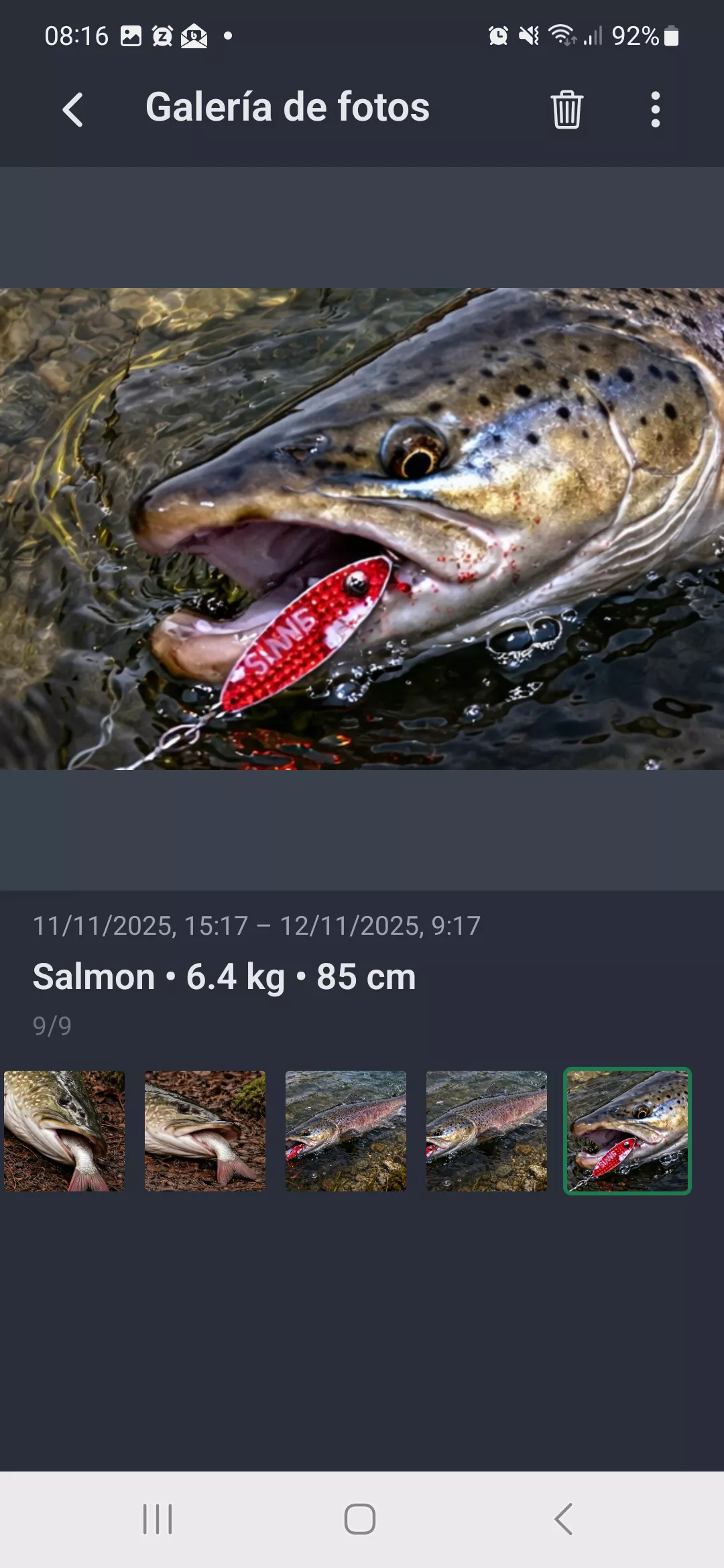 Captura de pantalla: Galería de fotos vista ampliada con detalles de captura