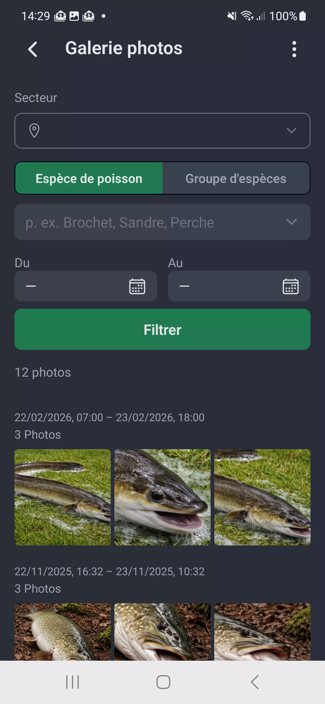 Capture d'ecran : Galerie photos avec options de filtrage