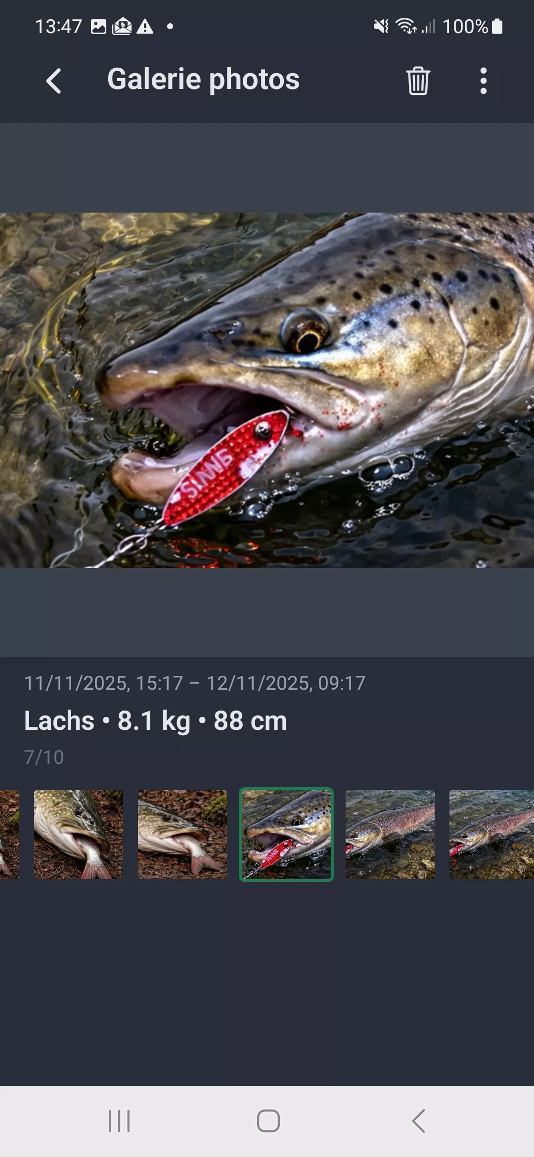 Capture d'ecran : Vue plein ecran de la galerie photos avec details de la prise