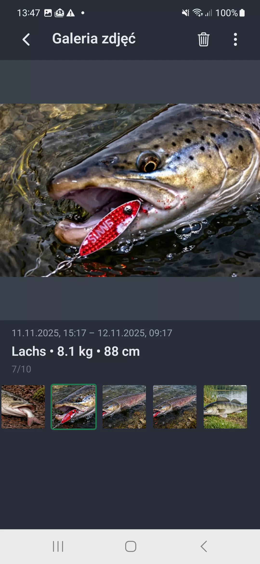 Zrzut ekranu: Galeria zdjec widok pelnoekranowy ze szczegolami polowu