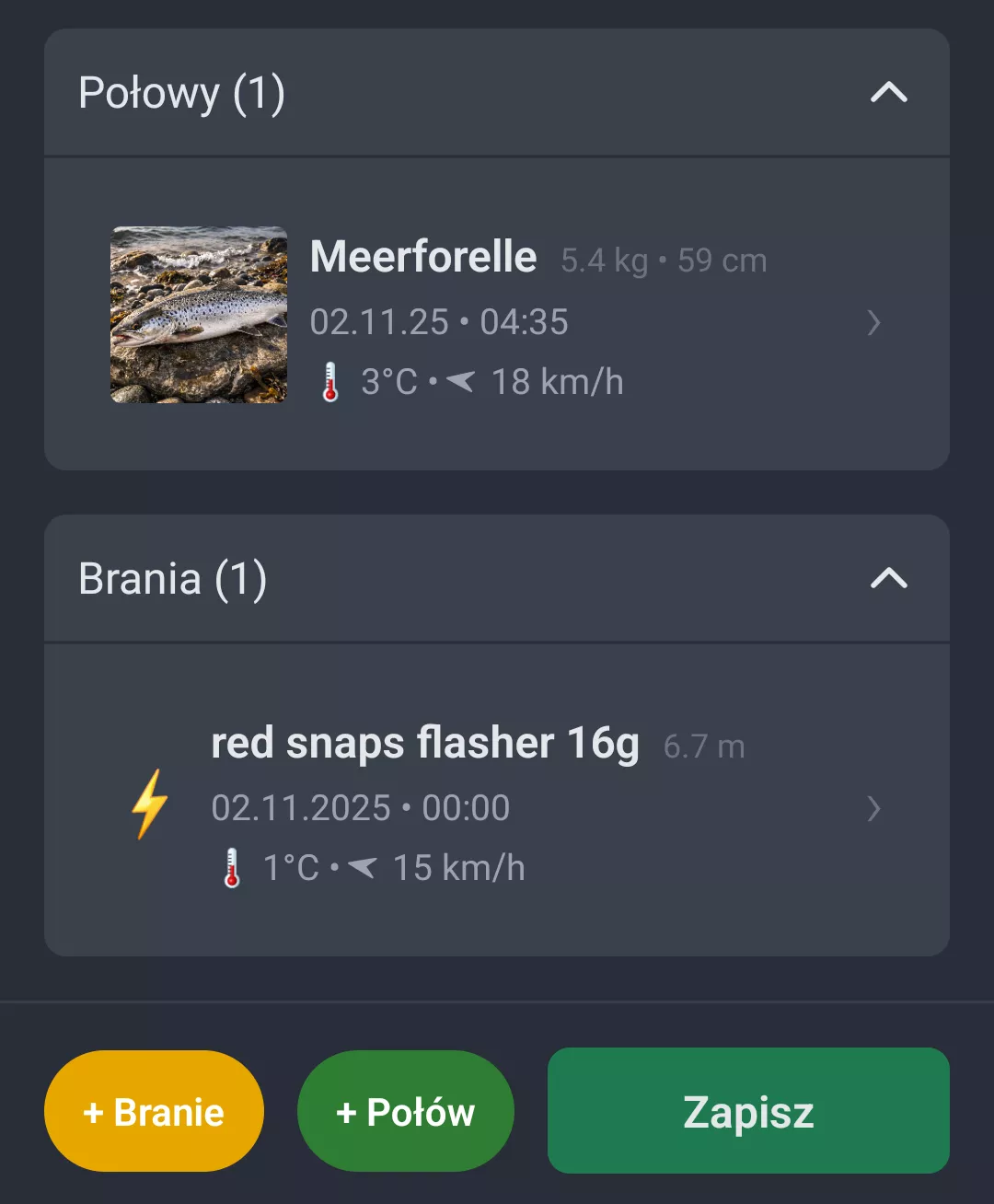 Zrzut ekranu: Polowy i brania w sesji